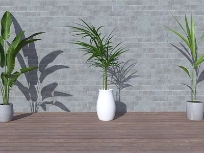 Modern potted high-end plant potted combination 3d model