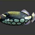 Vibrant Colorful Fish With Circular Green Blue Spots On Body And Purple Tail