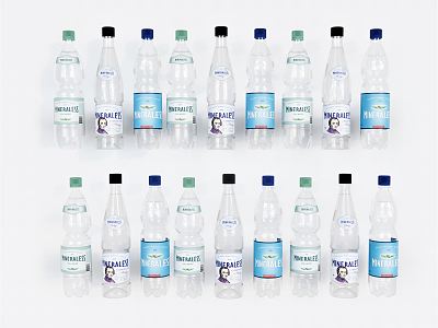 Modern mineral water food beverage glass bottle model