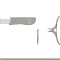 Ancient Weapons Collection Featuring Lyre Shaped Bow Dagger And White Models