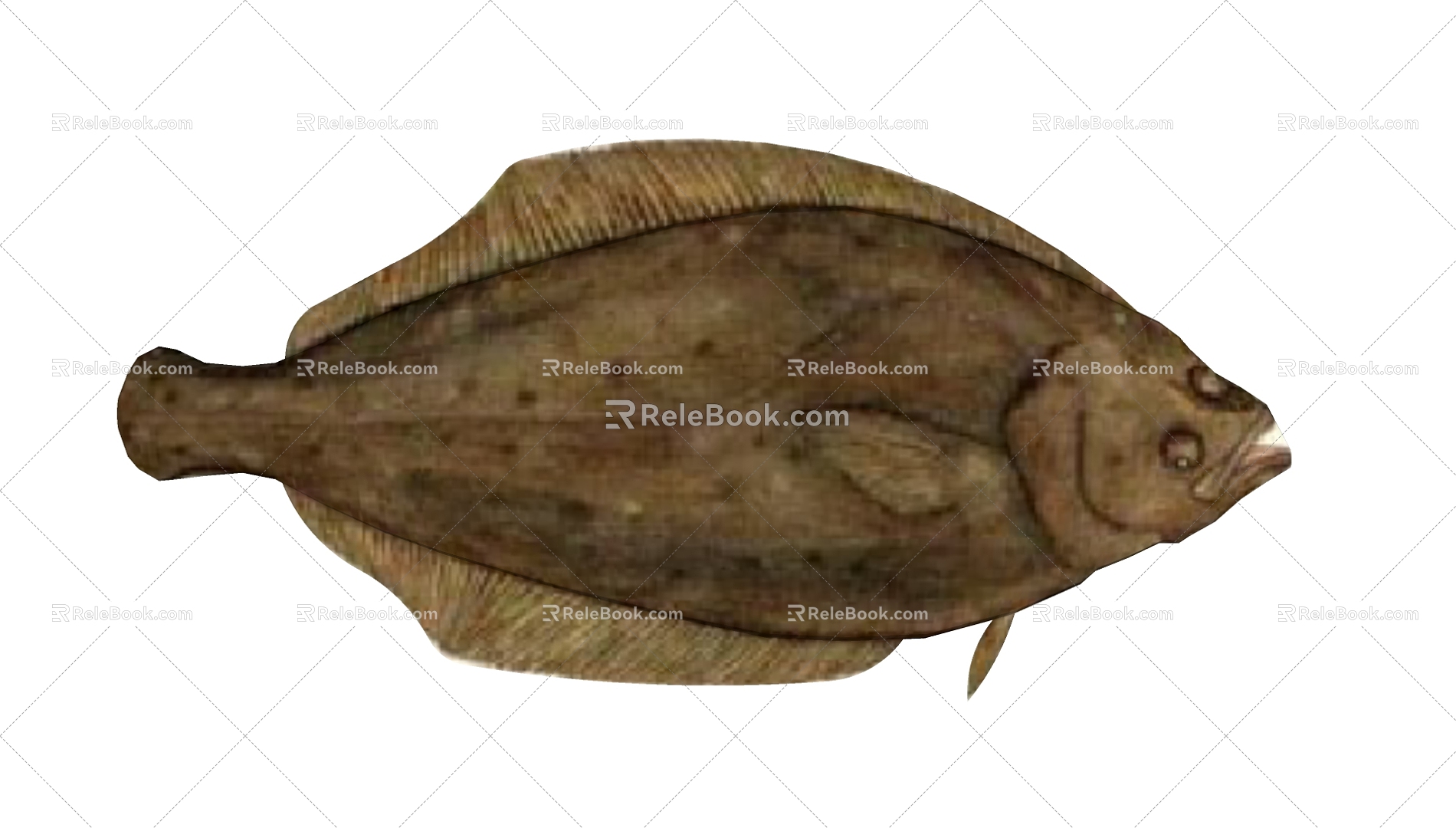 Fish 3d model