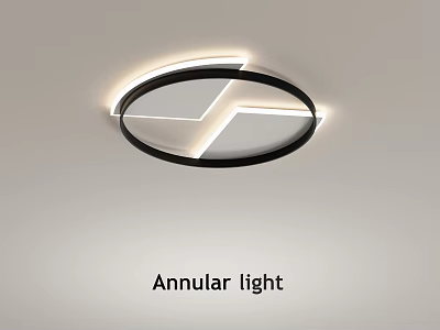 Simple ceiling lamp lighting decorative lamp atmosphere lamp furnishings 3d model