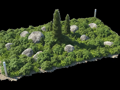 Lush Shrubs in Garden Landscape with Rocks and Coniferous Trees Creating Natural Outdoor Setting 3d model