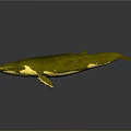 Detailed Golden Whale 3D Render With Glossy Surface On Gray Background