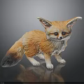 Baby Fennec Fox With Orange Yellow Fur Large Ears Blue Eyes On Black Background Reflection