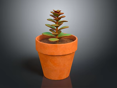 Succulent Plant With Green And Brown Leaves In Orange Terracotta Pot On Dark Background 3d model