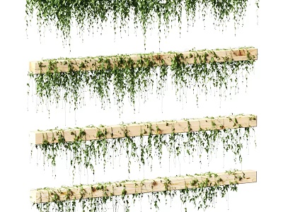 Lush Green Trailing Vines Hanging From Wooden Planks Home Decoration Design 3d model