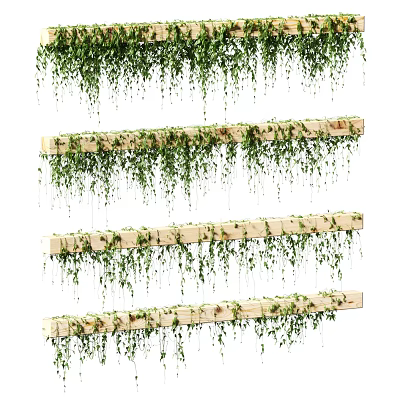 Lush Green Trailing Vines Hanging From Wooden Planks Home Decoration Design 3d model