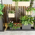 Bonsai Potted Plants With Green Leaves And Colorful Flowers In Modern Containers For Indoor Decoration