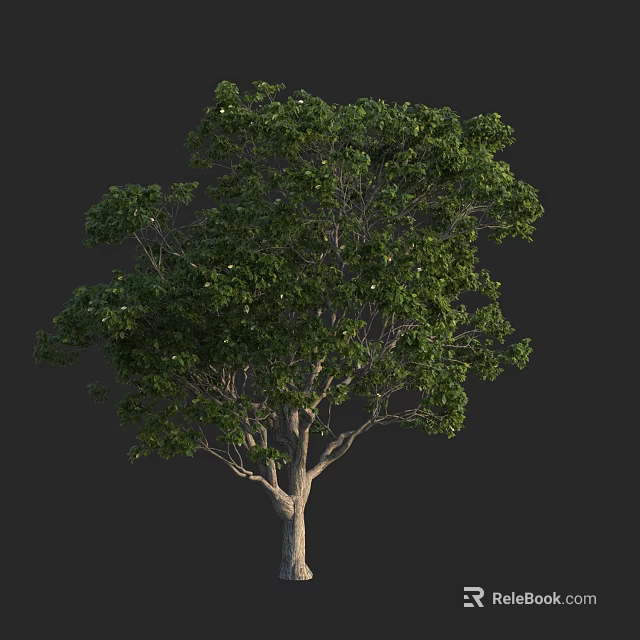 Lush Green Arbor With Dense Foliage And Strong Natural Trunk Structure 3d model