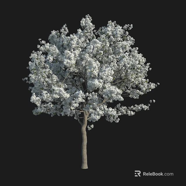 Lush Tree With Dense White Leaves And Brown Trunk On Black Background 3d model