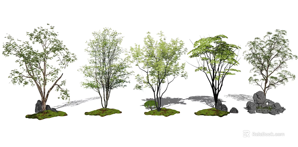 Various Arbor Trees With Different Shapes And Lush Green Foliage 3d model