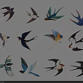 Various Colorful Swallow Illustrations With Different Poses And Vibrant Feathers