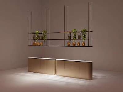 Minimalist Wall Cabinets With Black Metal Frame Green Plants And Golden Items Lower Cabinet 3d model