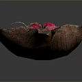 Fresh Red Radishes Arranged Neatly on a Natural Wooden Tray