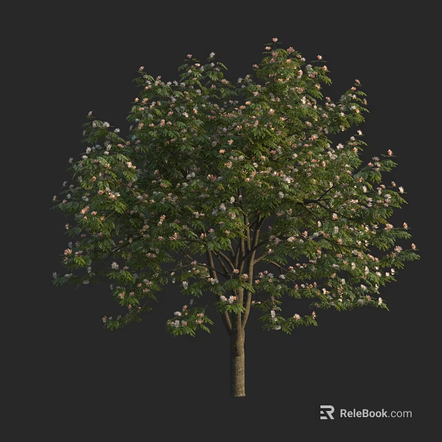 Blooming Deciduous Arbor With Lush Green Leaves White Flowers And Brown Trunk 3d model 