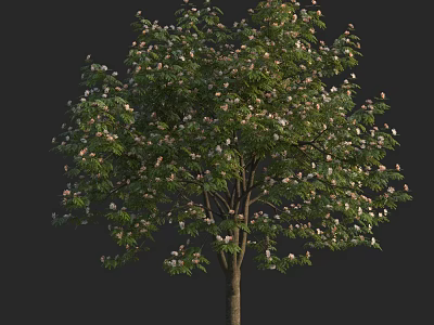 Blooming Deciduous Arbor With Lush Green Leaves White Flowers And Brown Trunk 3d model