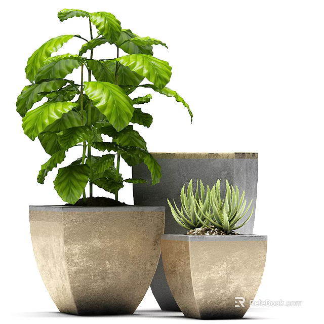 Modern Indoor Decorative Potted Plants With Geometric Pots And Leaf Varieties 3d model 