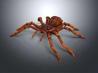 Brown Spider With Patterned Body And Long Legs On Gray Background 3d model