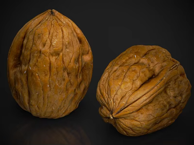 Two Fresh Whole Walnuts In Shell With Natural Brown Texture On Dark Background 3d model