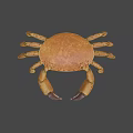 Game Movie Character 3D Model Brown Crab With Large Claws And Textured Shell