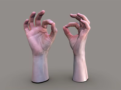 Human Hands and Arms Posed in OK Gesture Displayed on Gray Background 3d model