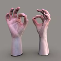 Human Hands and Arms Posed in OK Gesture Displayed on Gray Background 3d model
