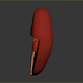 Detailed 3D Rendered Human Kidney Anatomy Model Showing Internal Structures