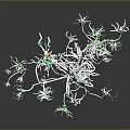 Botanical Structure With White Branches Green Particles And Large Green Sphere On Gray Background