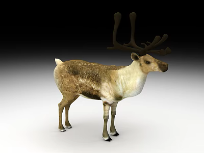 Modern Deer 3d model