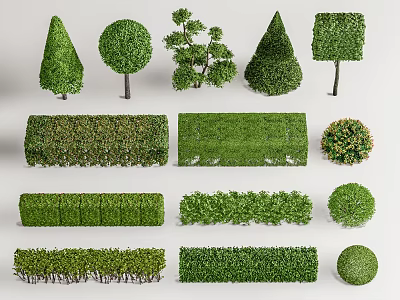 Various Pruned Shrub Shapes For Garden Landscaping And Green Hedge Design 3d model