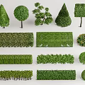 Various Pruned Shrub Shapes For Garden Landscaping And Green Hedge Design