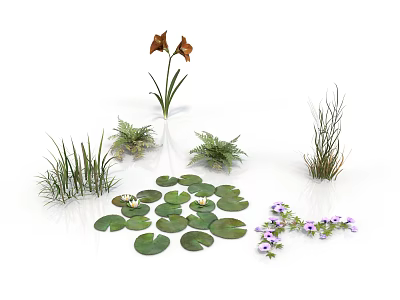 Modern Scene Plant Decoration Featuring Brown Flowers Green Grasses Water Lily Leaves And Purple Blooms 3d model