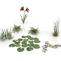 Modern Scene Plant Decoration Featuring Brown Flowers Green Grasses Water Lily Leaves And Purple Blooms