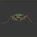 Green Beetle With Yellow Spots Long Antennae And Legs On Dark Background