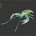 Orange Crayfish Closeup View With Smooth Shell Texture And Shiny Reflection Against Dark Background 3d model