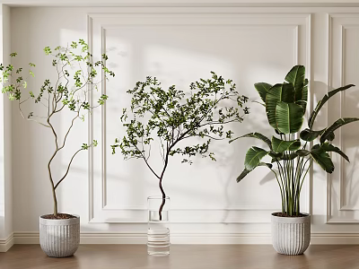 Indoor Bonsai Potted Plants With Various Types In Modern White Paneled Wall Decor 3d model