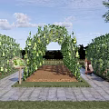 Rural Countryside Garden With Arch Trellis Melons And Stone Pathway