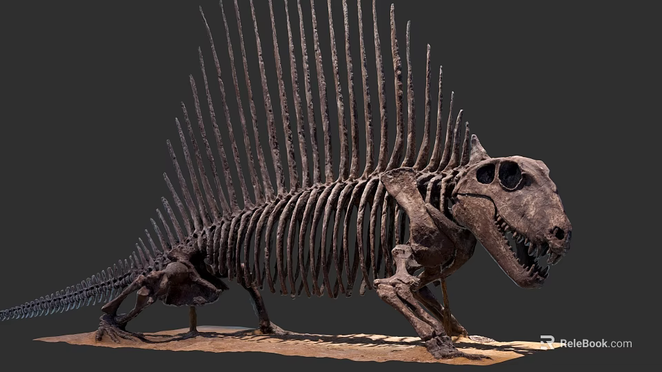 Prehistoric Reptile Fossil Skeleton with Long Spines and Skeletal Structure 3d model 