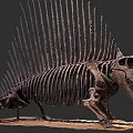Prehistoric Reptile Fossil Skeleton with Long Spines and Skeletal Structure