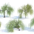Multiple Willow Trees With Green Hanging Branches And Straight Trunks Against White Background 3d model