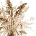 Dried Flowers Arrangement In Glass Vase With Natural Beige Brown Tones For Home Decor