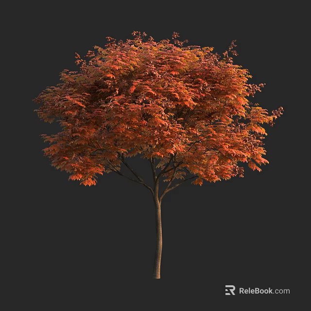 Vibrant Tall Tree With Lush Orange Red Autumn Foliage And Brown Trunk 3d model 