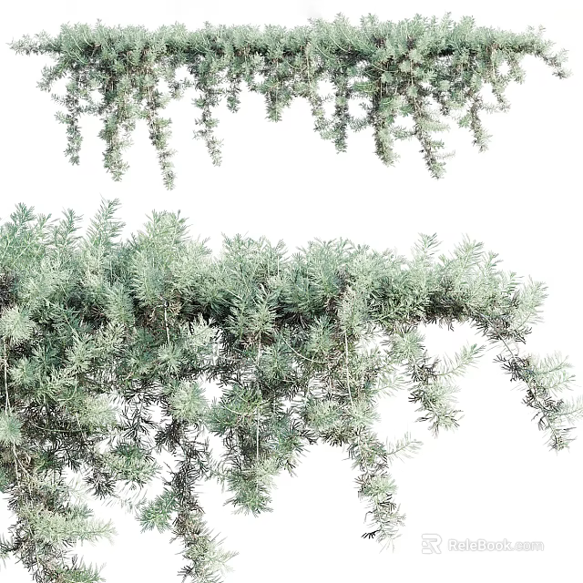 Lush Green Foliage And Hanging Vines With Various Decorative Plants Natural Leaves 3d model 