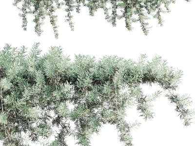 Lush Green Foliage And Hanging Vines With Various Decorative Plants Natural Leaves 3d model