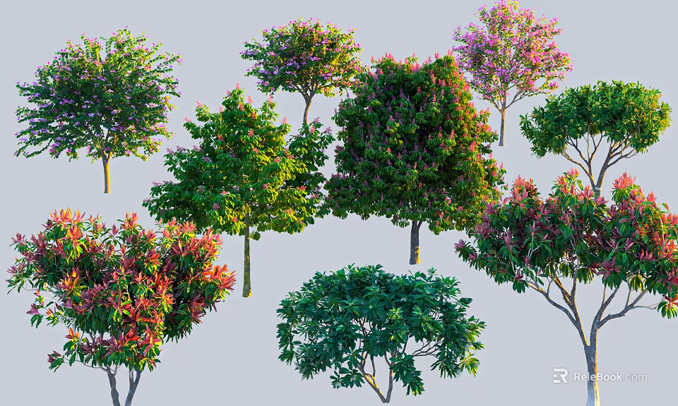 Various Ornamental Arbor Trees With Colorful Leaves And Flowering Canopies For Landscaping 3d model 