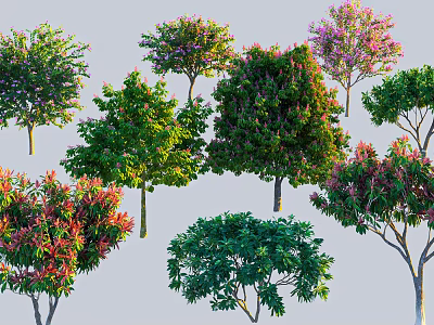 Various Ornamental Arbor Trees With Colorful Leaves And Flowering Canopies For Landscaping 3d model