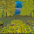 Picturesque Autumn Ginkgo Tree Lined Scenery With Fallen Yellow Leaves Clear Stream And Flying Bird