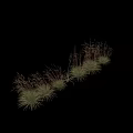 Various Types Of Decorative Grasses With Different Forms For Garden Landscape Design