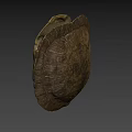 Natural Turtle Shell With Intricate Patterns Detailed Texture And Earthy Tones 3d model